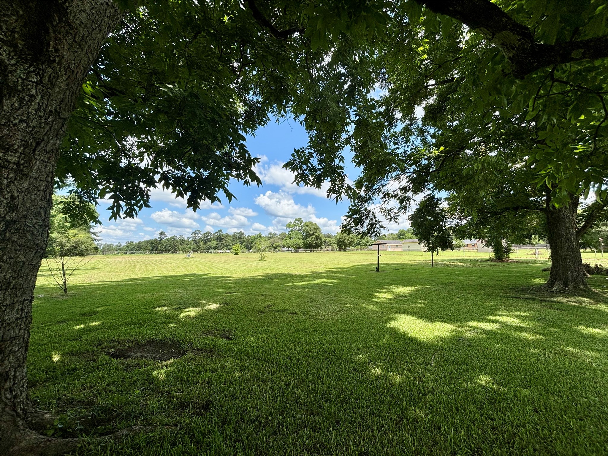 9434 Highway 69 Warren, TX 77664 - Photo 22 of 26