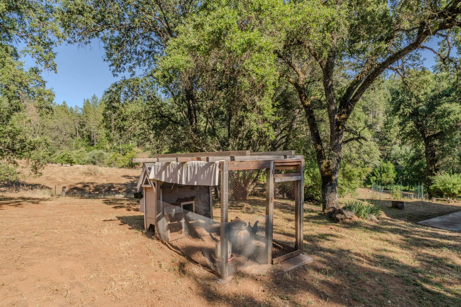 16671 Fiddletown Road Fiddletown, CA 95629 - Photo 11 of 71
