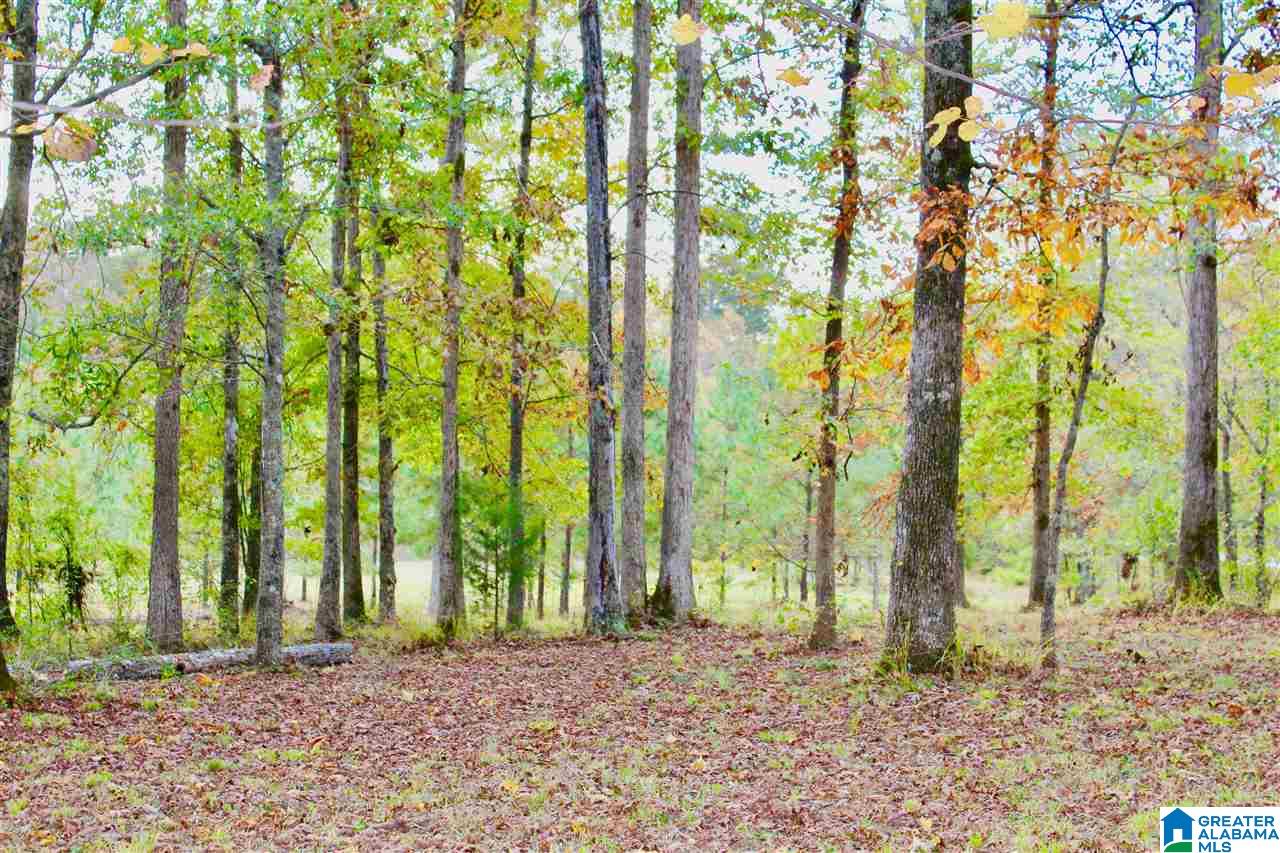 4861 Old Highway 280 Sterrett, AL 35147 - Photo 40 of 45