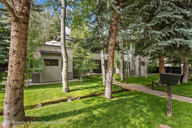 a view of a park with a tree in the grass