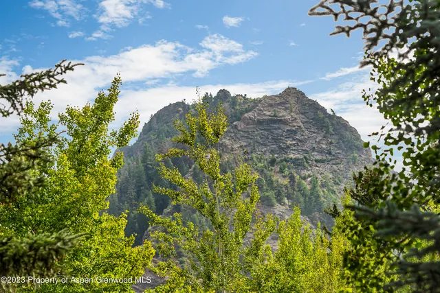 a view of a bunch of trees