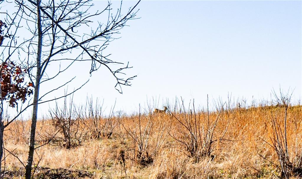 0 Xavier Road Mapleton, KS 66754 - Photo 13 of 28