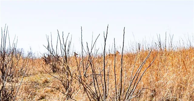 $200,000 | 0 Xavier Road, Mapleton, KS 66754