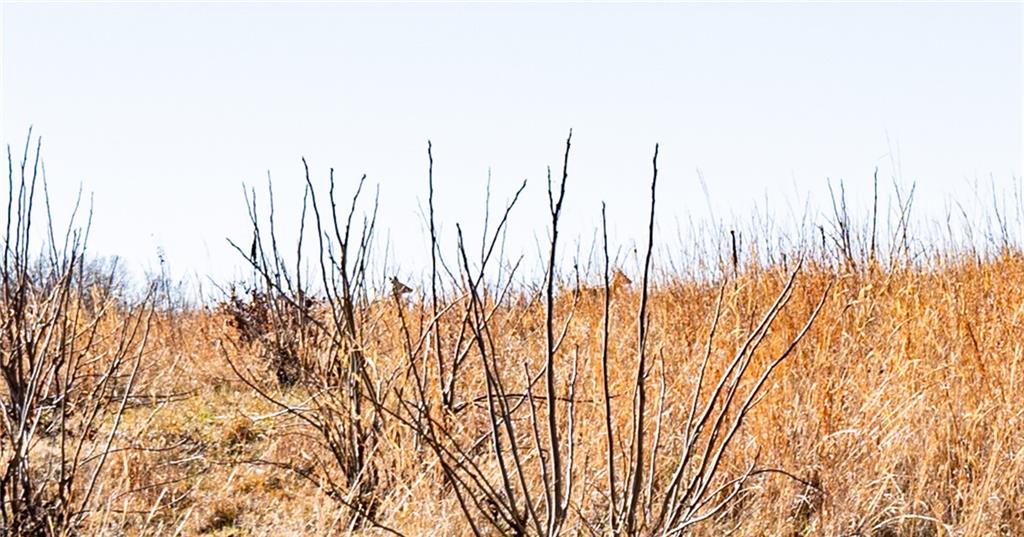 0 Xavier Road Mapleton, KS 66754 - Photo 14 of 28