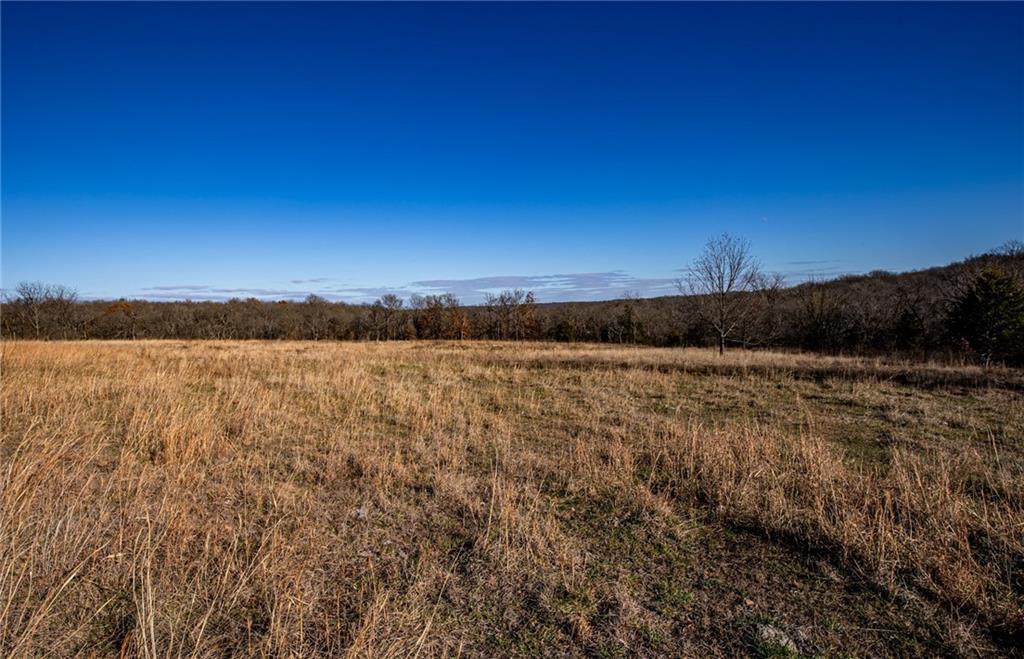 0 Xavier Road Mapleton, KS 66754 - Photo 3 of 28