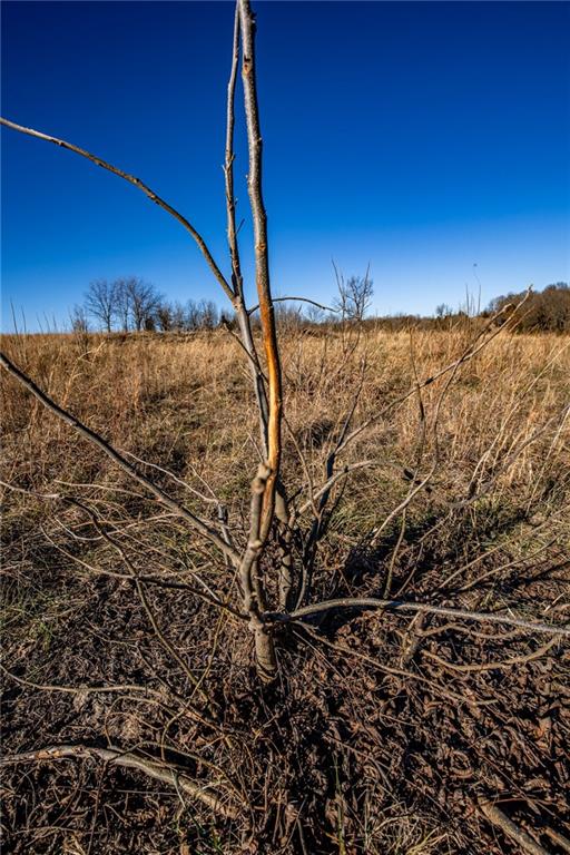 0 Xavier Road Mapleton, KS 66754 - Photo 4 of 28