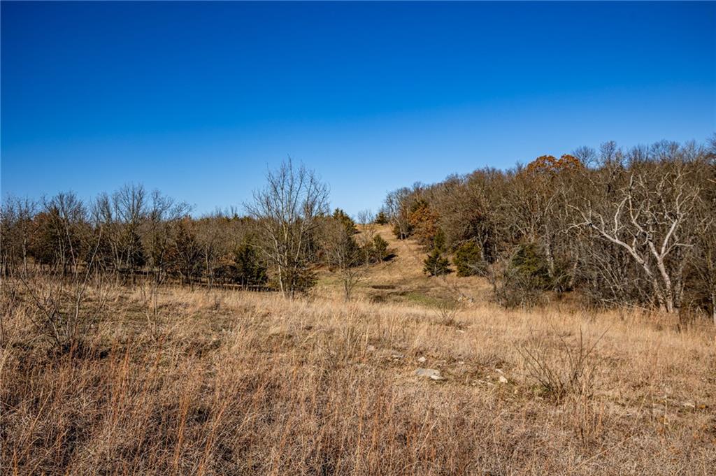 0 Xavier Road Mapleton, KS 66754 - Photo 5 of 28