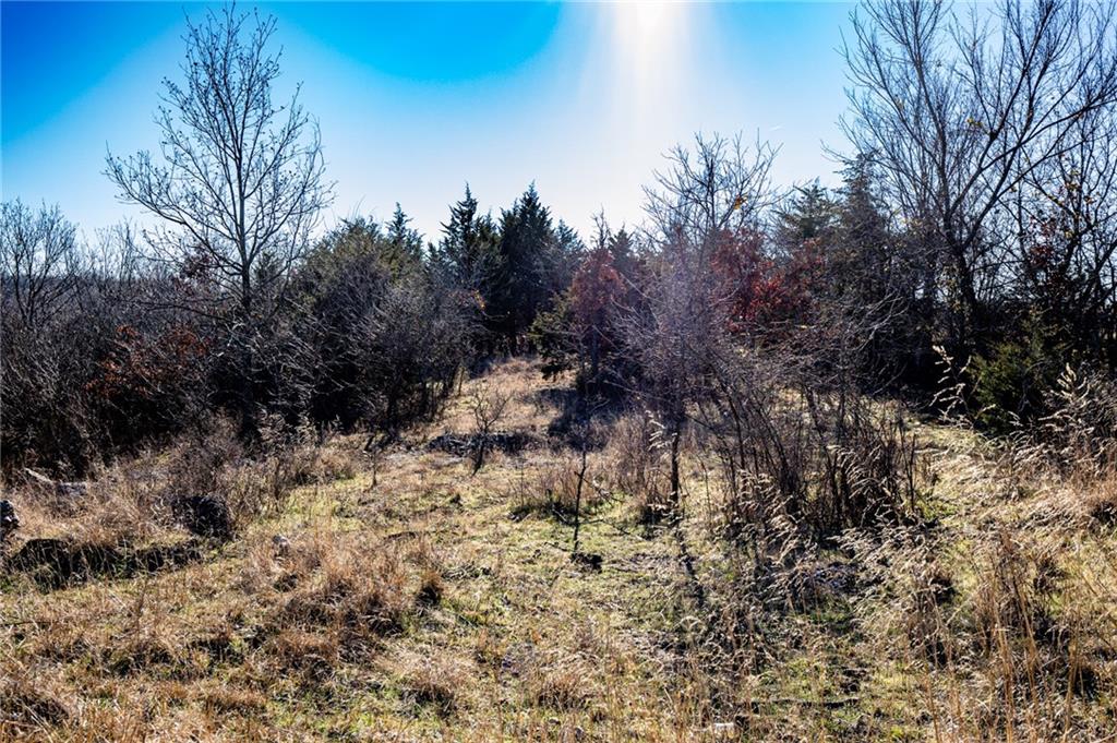 0 Xavier Road Mapleton, KS 66754 - Photo 10 of 28