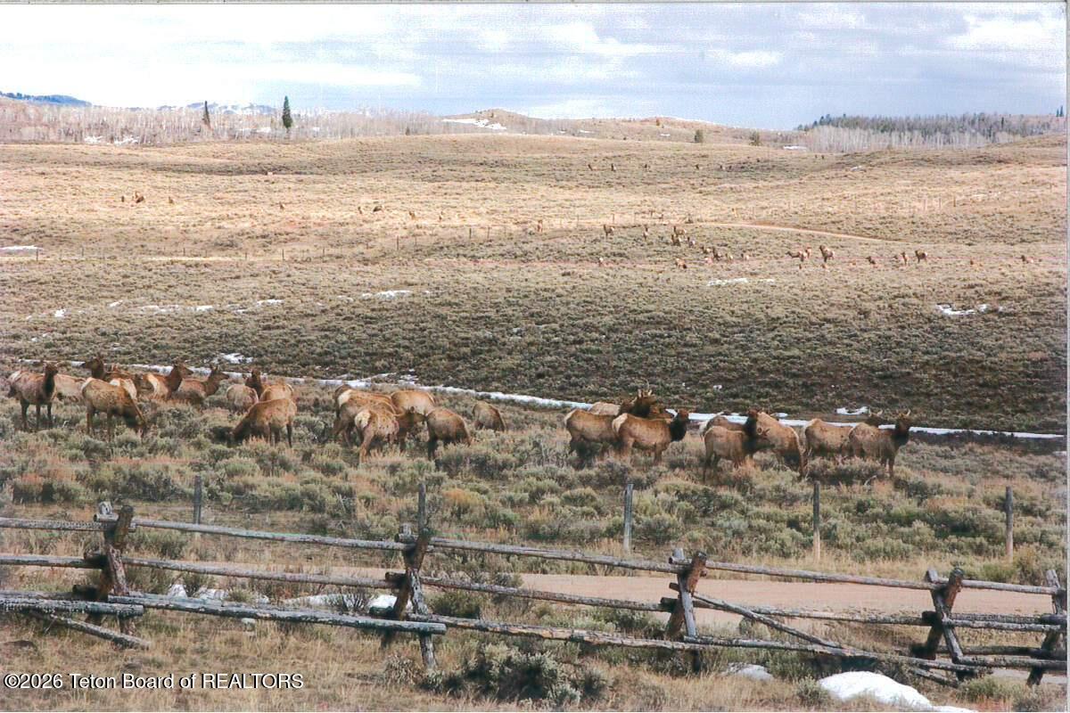 41 Marsh Creek Road Cora, WY 82925 - Photo 43 of 53 Fall elk migration