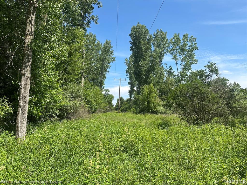 0 Kilburn Road Jeddo, MI 48032 - Photo 4 of 5