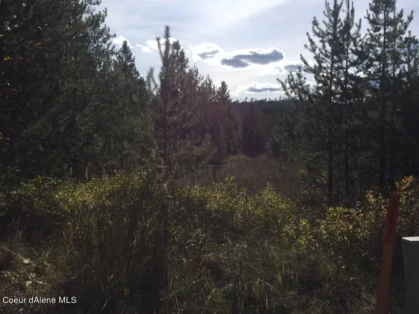 $199,900 | Nka Roberts Lane, Blanchard, ID 83804
