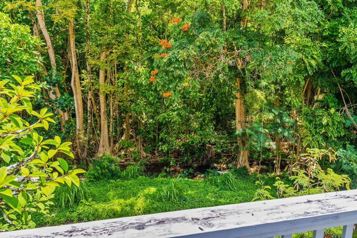 134 Lauoho Road Kalaheo, HI 96741 - Photo 4 of 26 Gallery Image 4