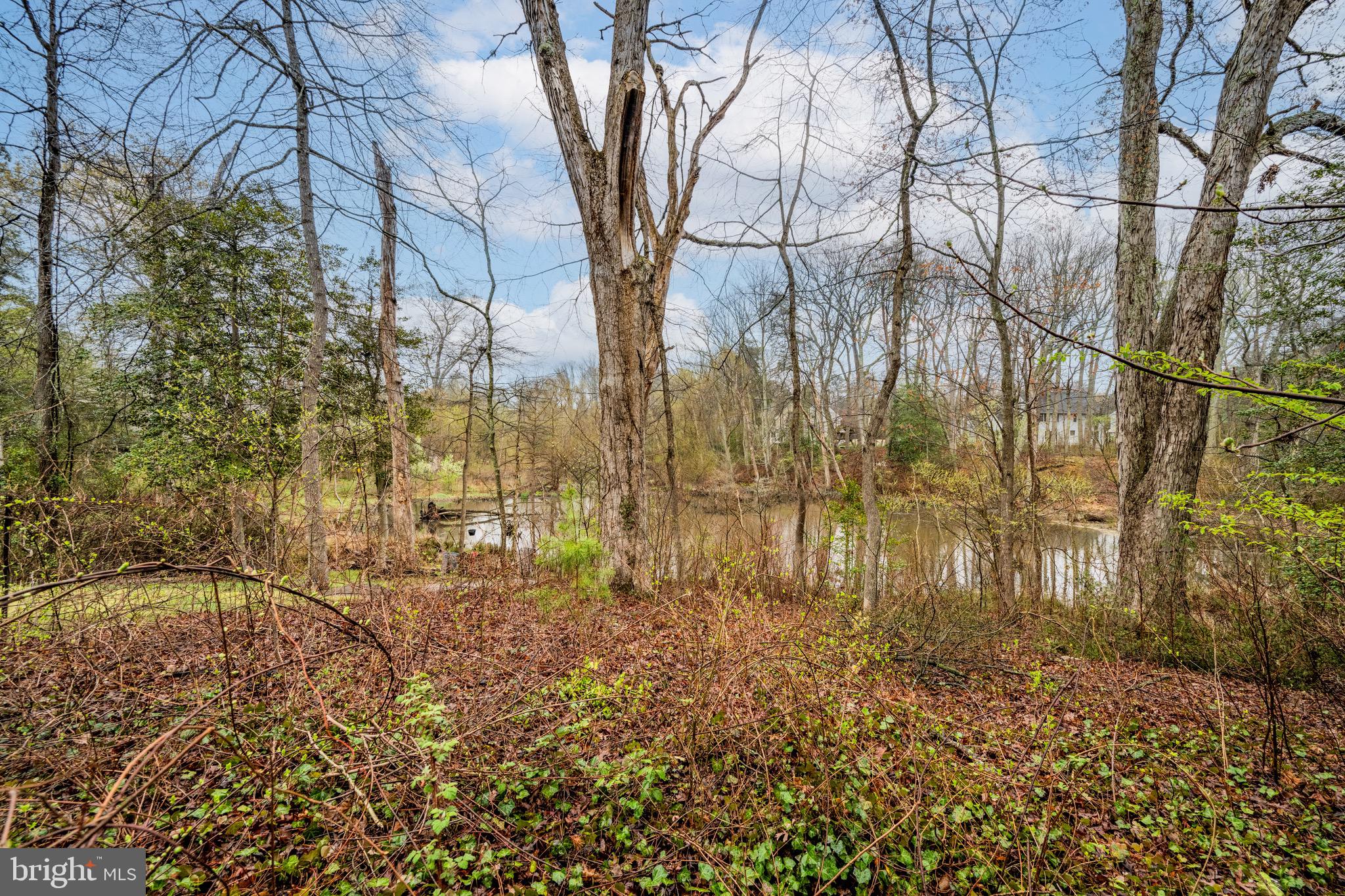 129 McKinsey Road Severna Park, MD 21146 - Photo 6 of 38 a backyard of a house with lots of green space