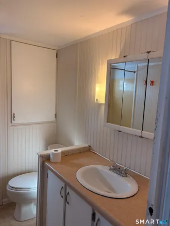 a bathroom with a sink a toilet and a mirror