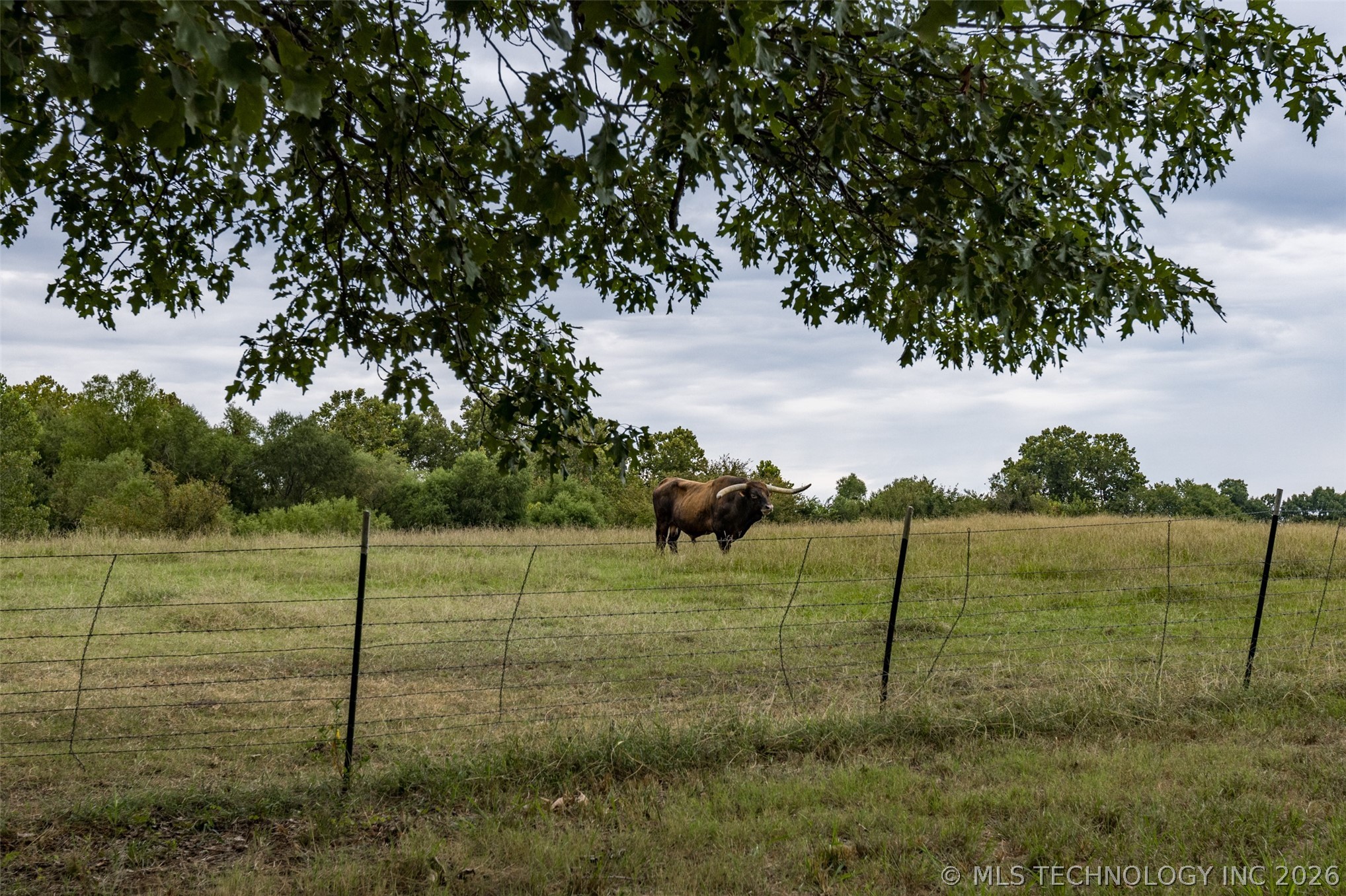 12717 Chisolm Road Caddo, OK 74729 - Photo 65 of 100 Gallery Image 65