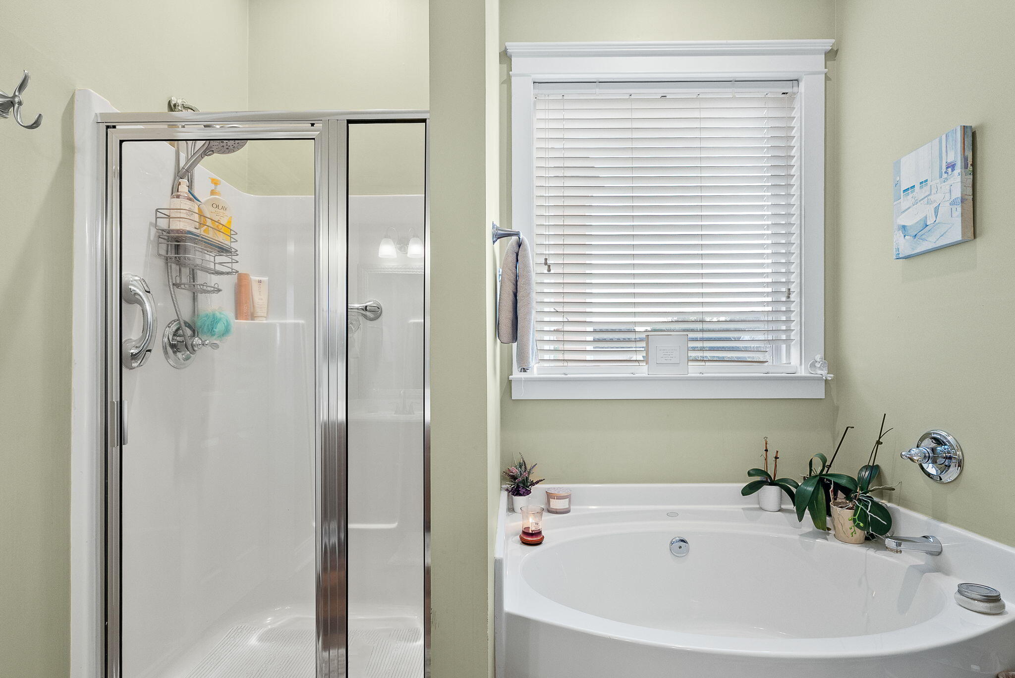 302 Hydrangea Street Summerville, SC 29483 - Photo 30 of 54 29-web-or-mls-Barclay Media Co.-29