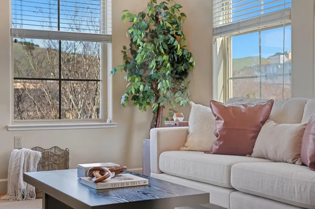 a living room with furniture and a potted plant