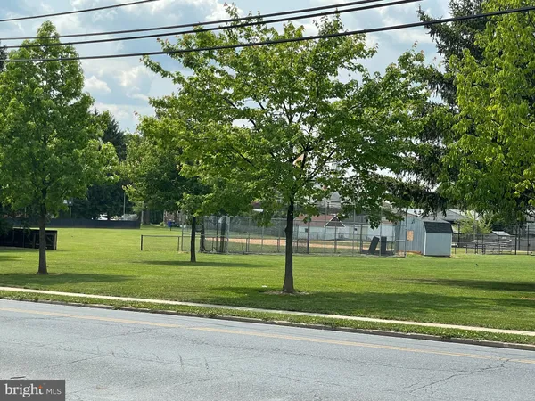a view of a big yard with a large trees