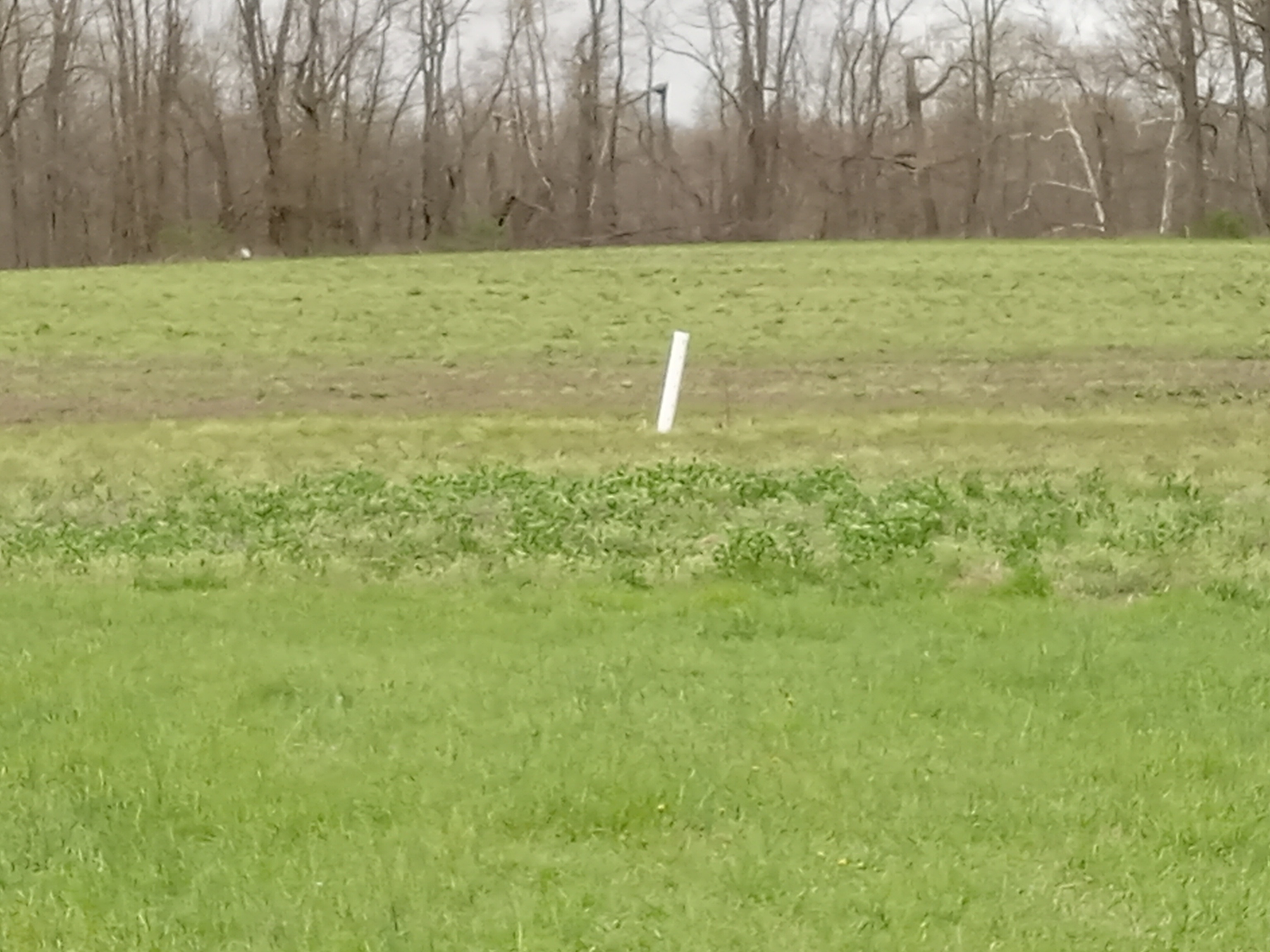 9018 South S Cr East