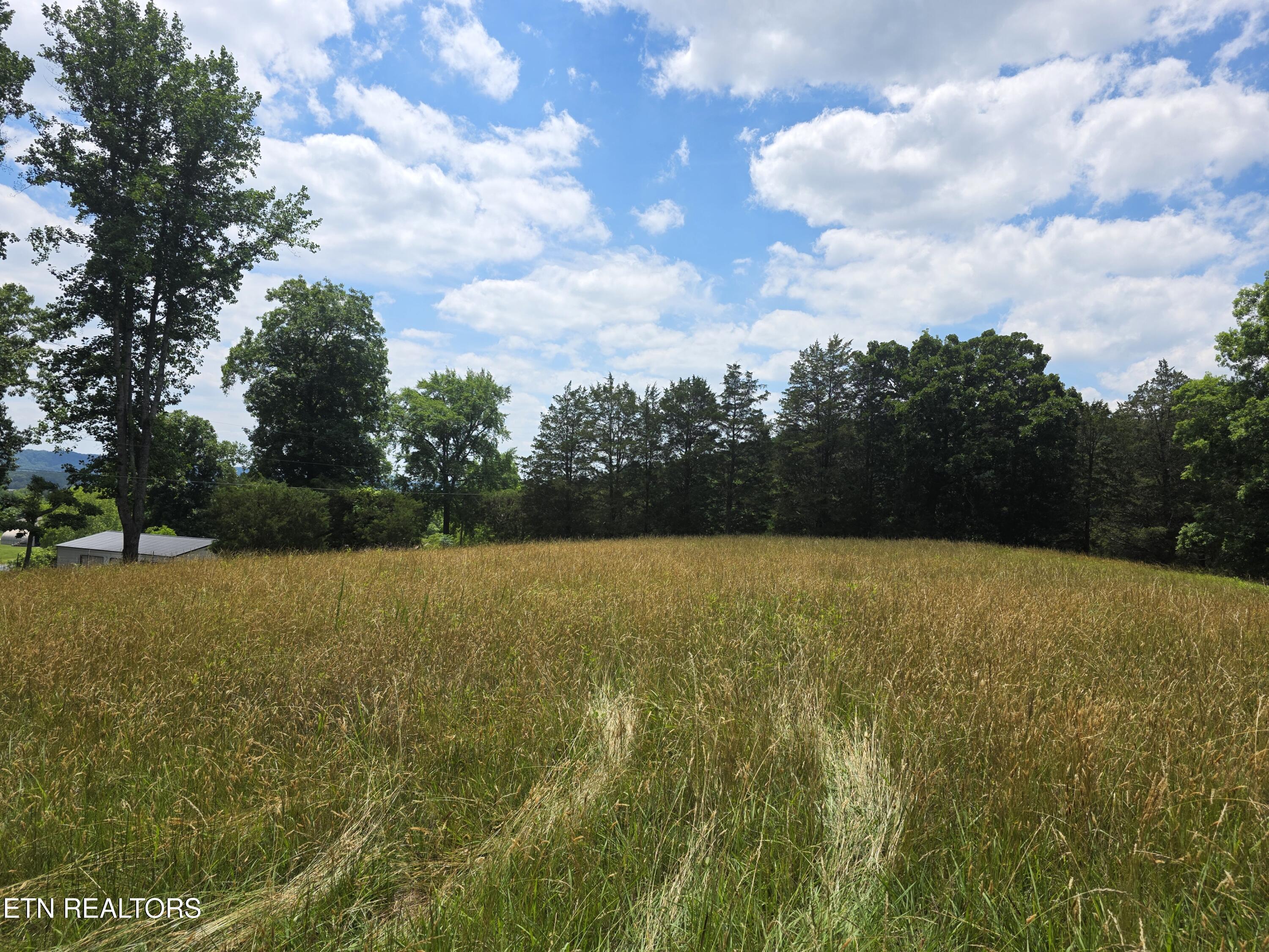 8050 Lett Road Corryton, TN 37721 - Photo 15 of 30 Pasture