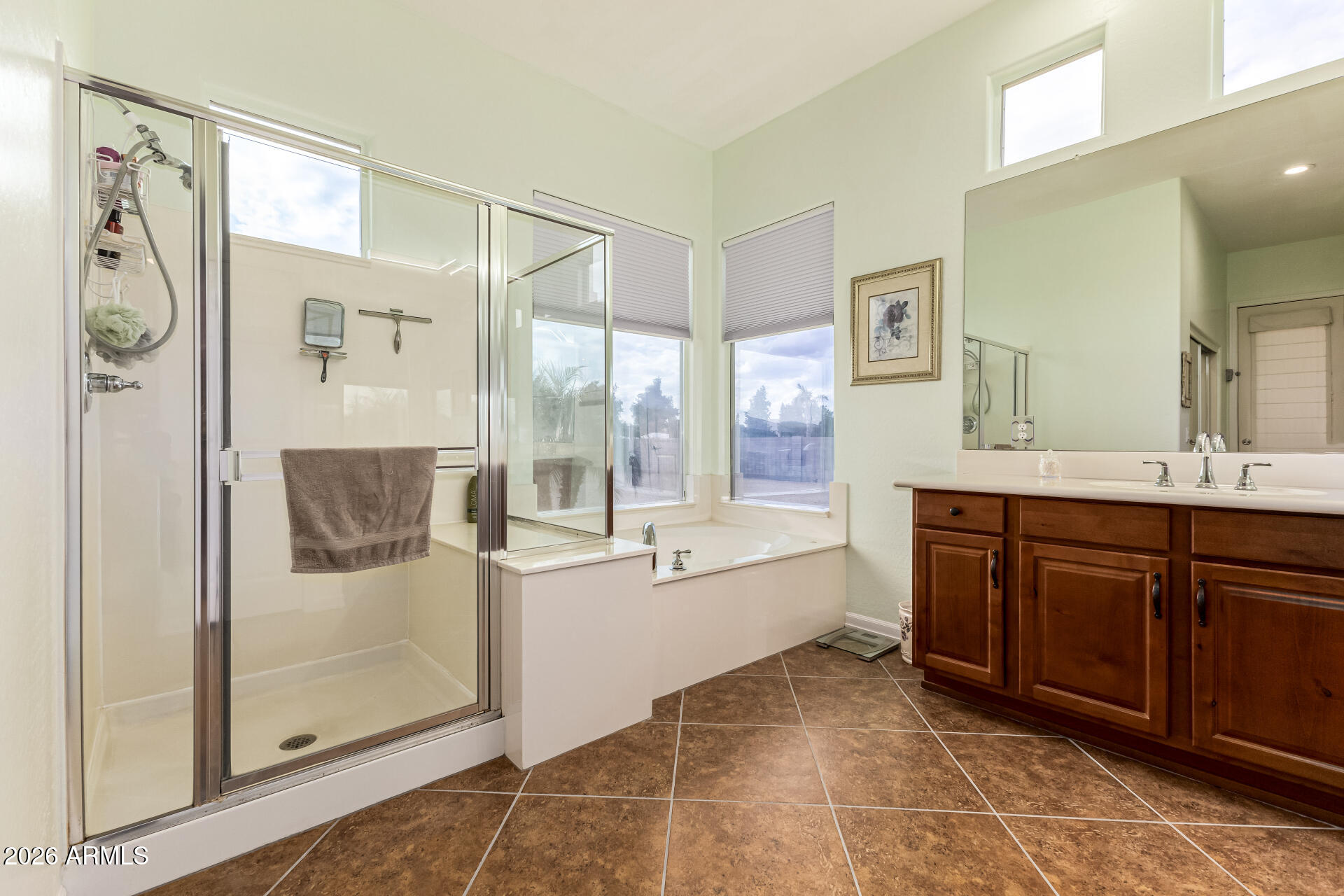 22909 West Sierra Ridge Way Wittmann, AZ 85361 - Photo 44 of 121 a spacious bathroom with a shower sink and mirror