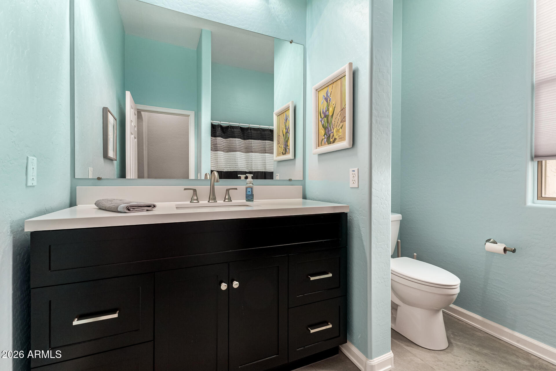 22909 West Sierra Ridge Way Wittmann, AZ 85361 - Photo 62 of 121 HALL BATH