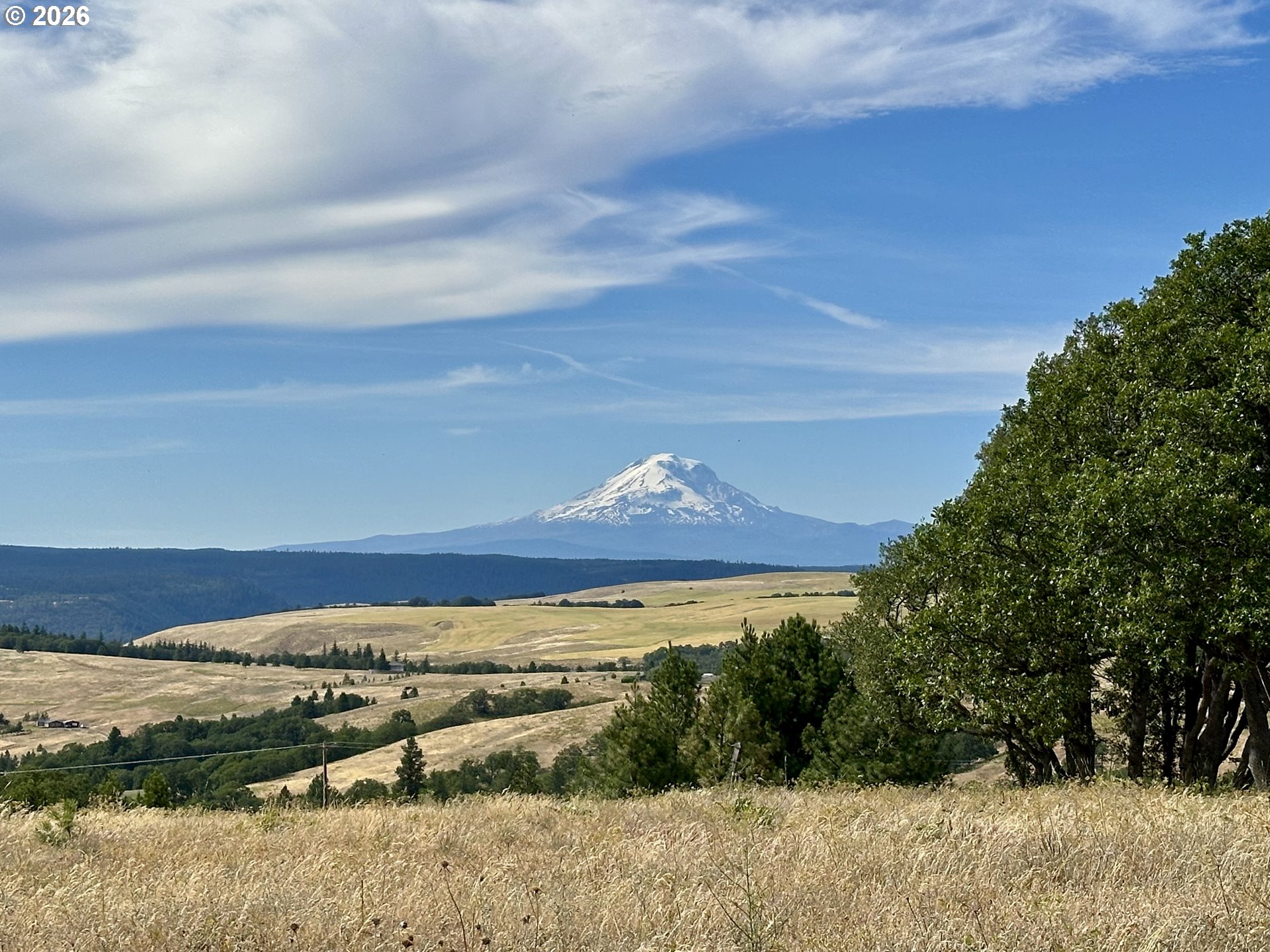 118 South Prairie Road Lyle, WA 98635 - Photo 4 of 46