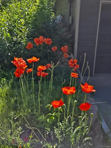 $1,175,000 | 677 Sky Trail Road, Boulder, CO 80302