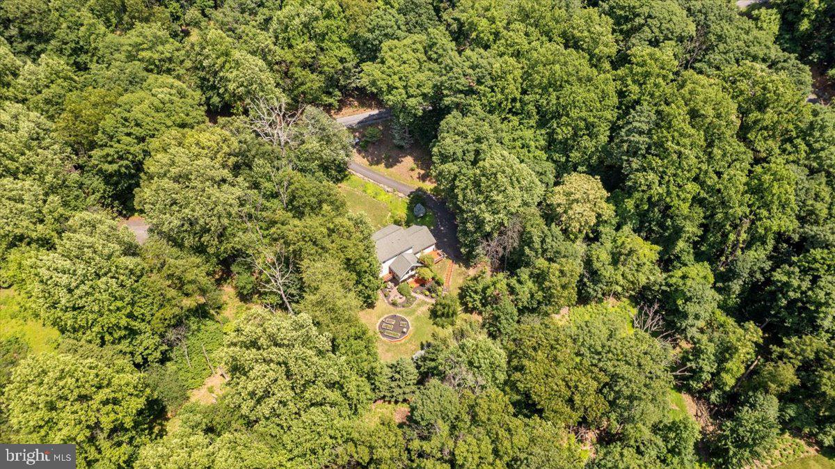 1028 High Knob Road Front Royal, VA 22630 - Photo 41 of 51
