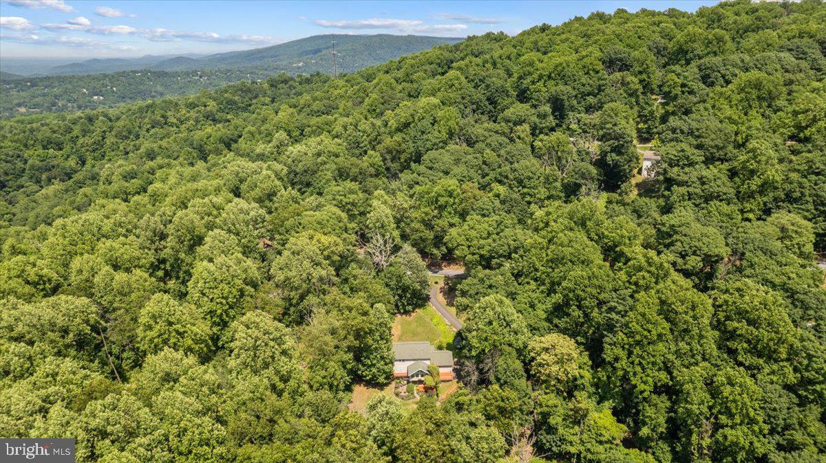 1028 High Knob Road Front Royal, VA 22630 - Photo 43 of 51