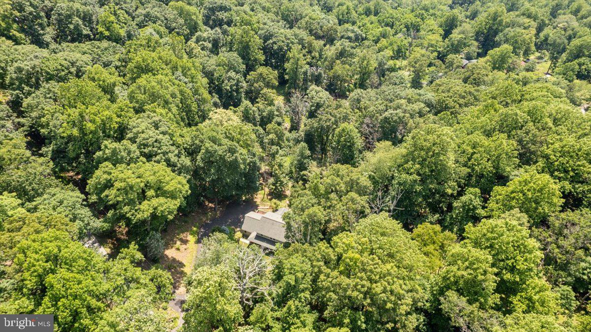 1028 High Knob Road Front Royal, VA 22630 - Photo 44 of 51