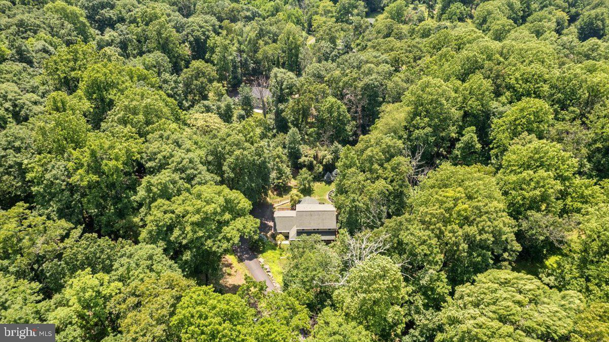 1028 High Knob Road Front Royal, VA 22630 - Photo 45 of 51