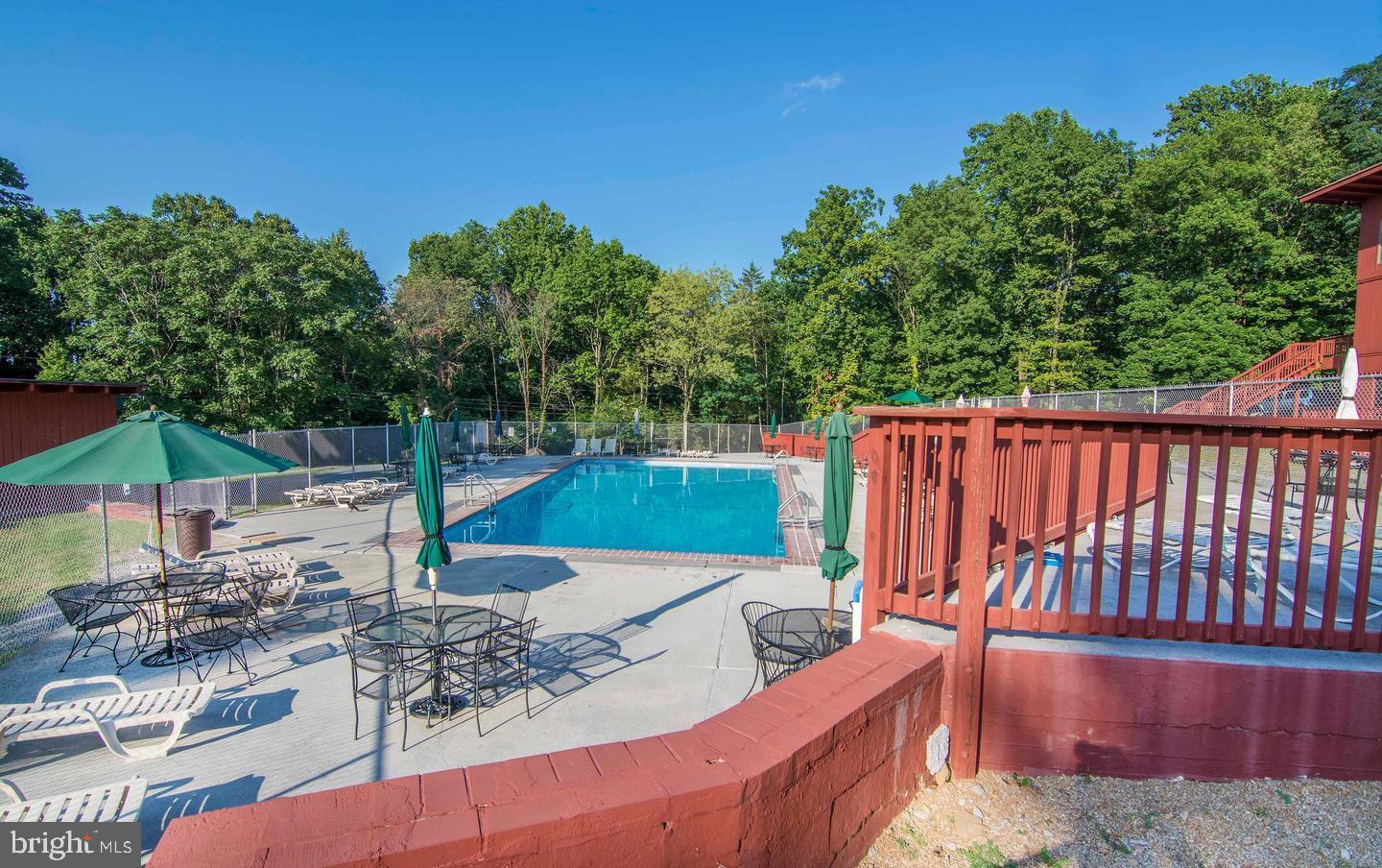 1028 High Knob Road Front Royal, VA 22630 - Photo 50 of 51 Community Pool