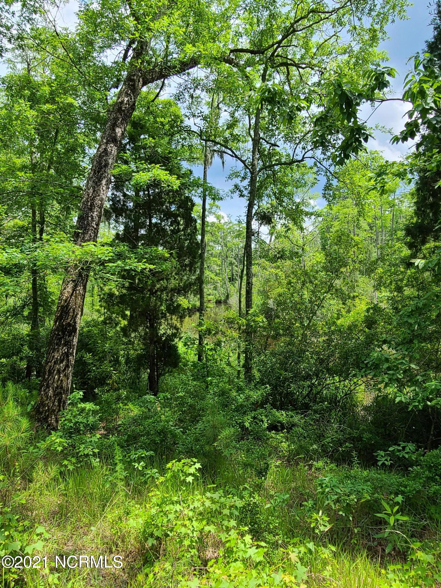 0 Bluff Road Chocowinity, NC 27817 - Photo 3 of 11 Creek Front