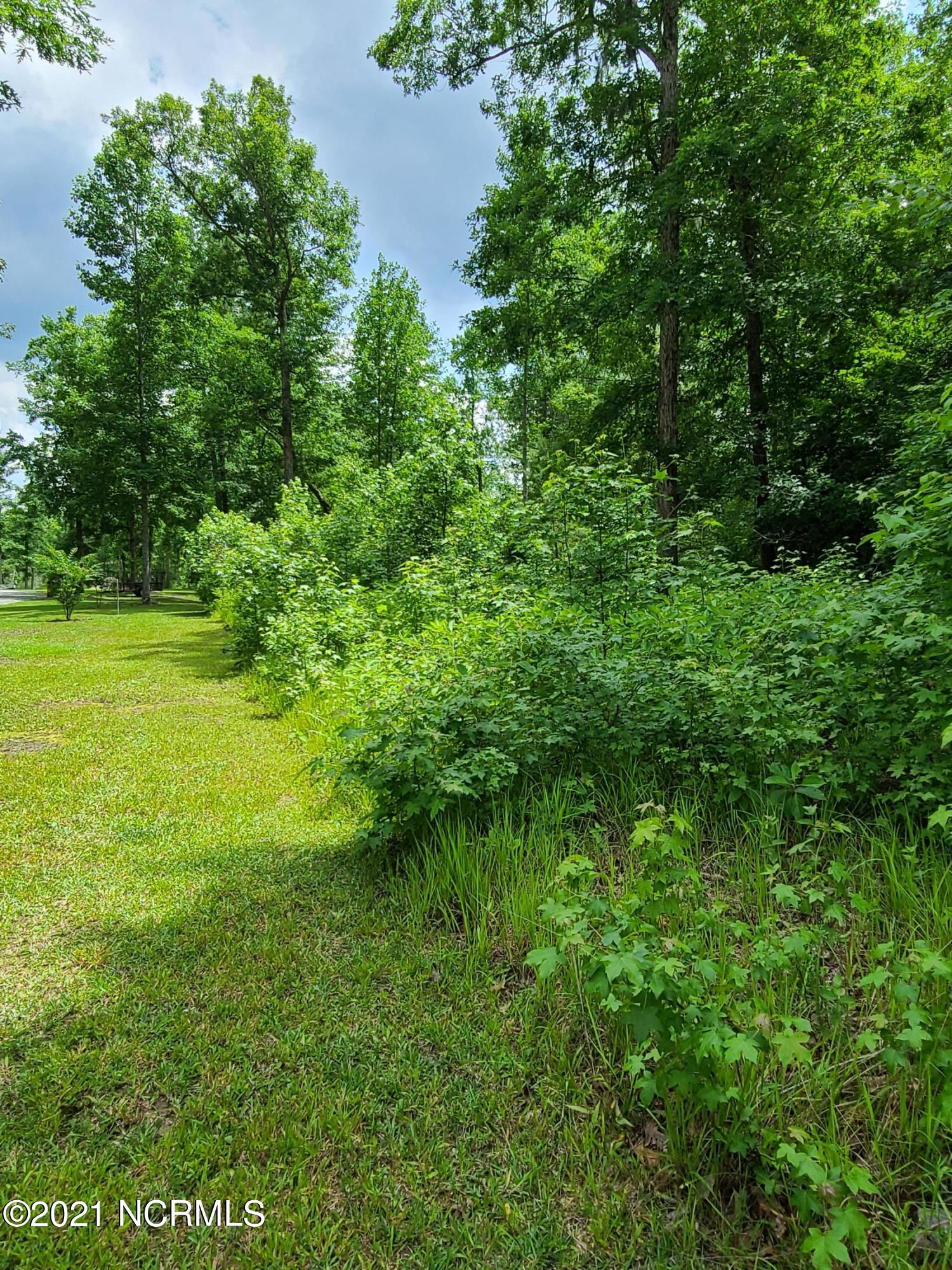 0 Bluff Road Chocowinity, NC 27817 - Photo 5 of 11 Cleared property line