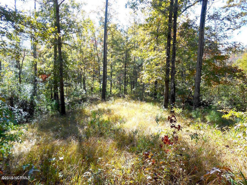 0 Bluff Road Chocowinity, NC 27817 - Photo 6 of 11 Fall view of Building Site