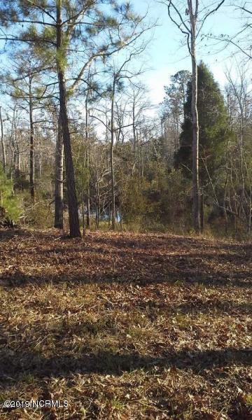 0 Bluff Road Chocowinity, NC 27817 - Photo 8 of 11 Winter View of Cleared Building Site