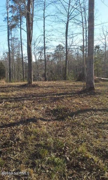 0 Bluff Road Chocowinity, NC 27817 - Photo 9 of 11 Winter View of Cleared Lot