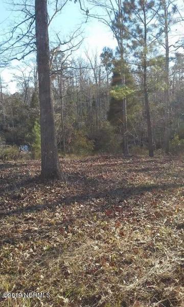 0 Bluff Road Chocowinity, NC 27817 - Photo 10 of 11 Winter View of Cleared Lot