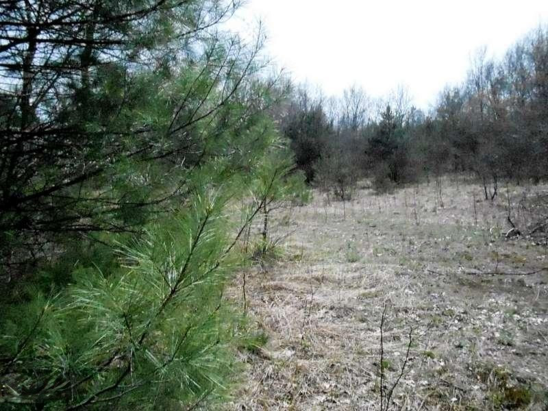 6035 Hall Road Muskegon, MI 49442 - Photo 34 of 44 DSCN2445