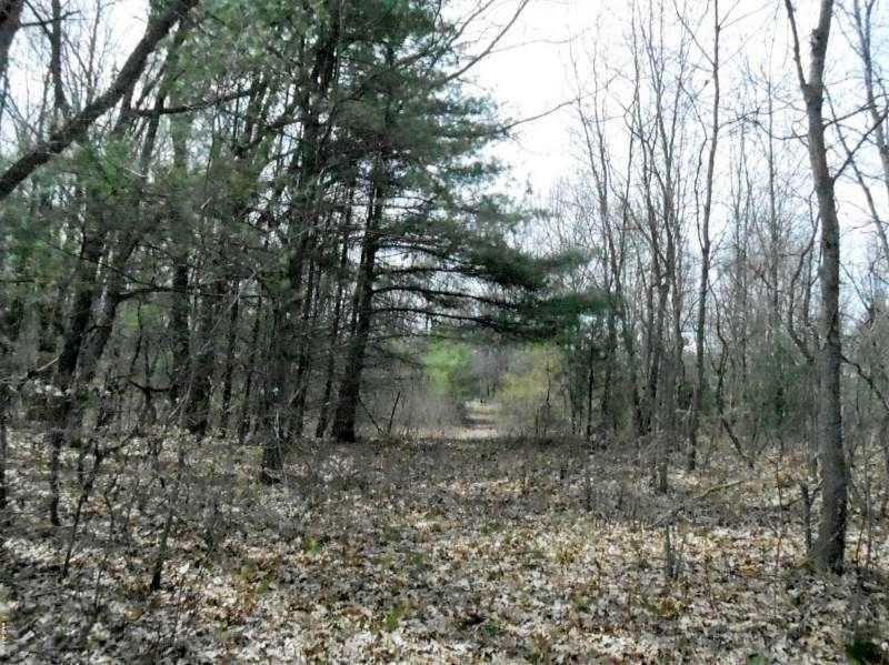 6035 Hall Road Muskegon, MI 49442 - Photo 41 of 44 DSCN2464