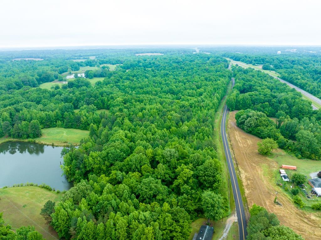0 Poplar Grove Cemetery Road Henning, TN 38041 - Photo 28 of 40 Expansive wooded acreage featuring a visible roadway and a pond