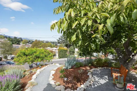 a view of a garden with plants and a pathway