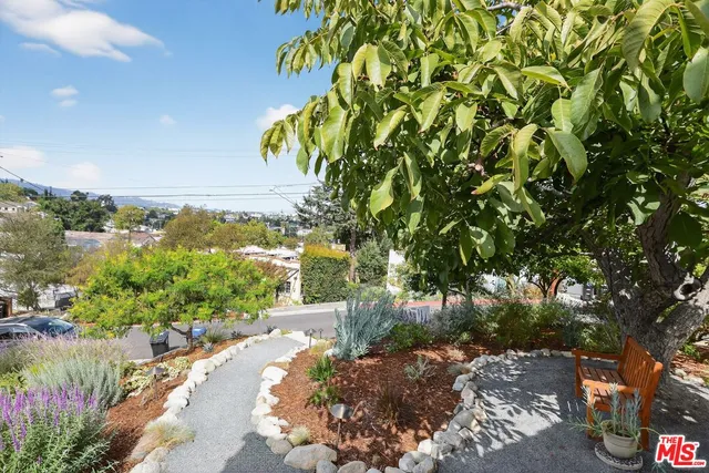 a view of a garden with plants and a pathway