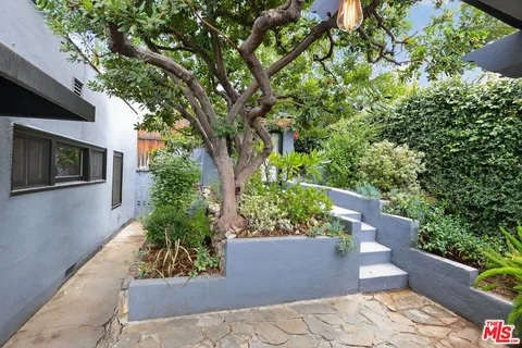 a view of a garden with plants