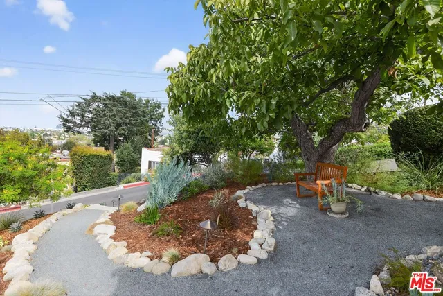 a view of a street with a tree