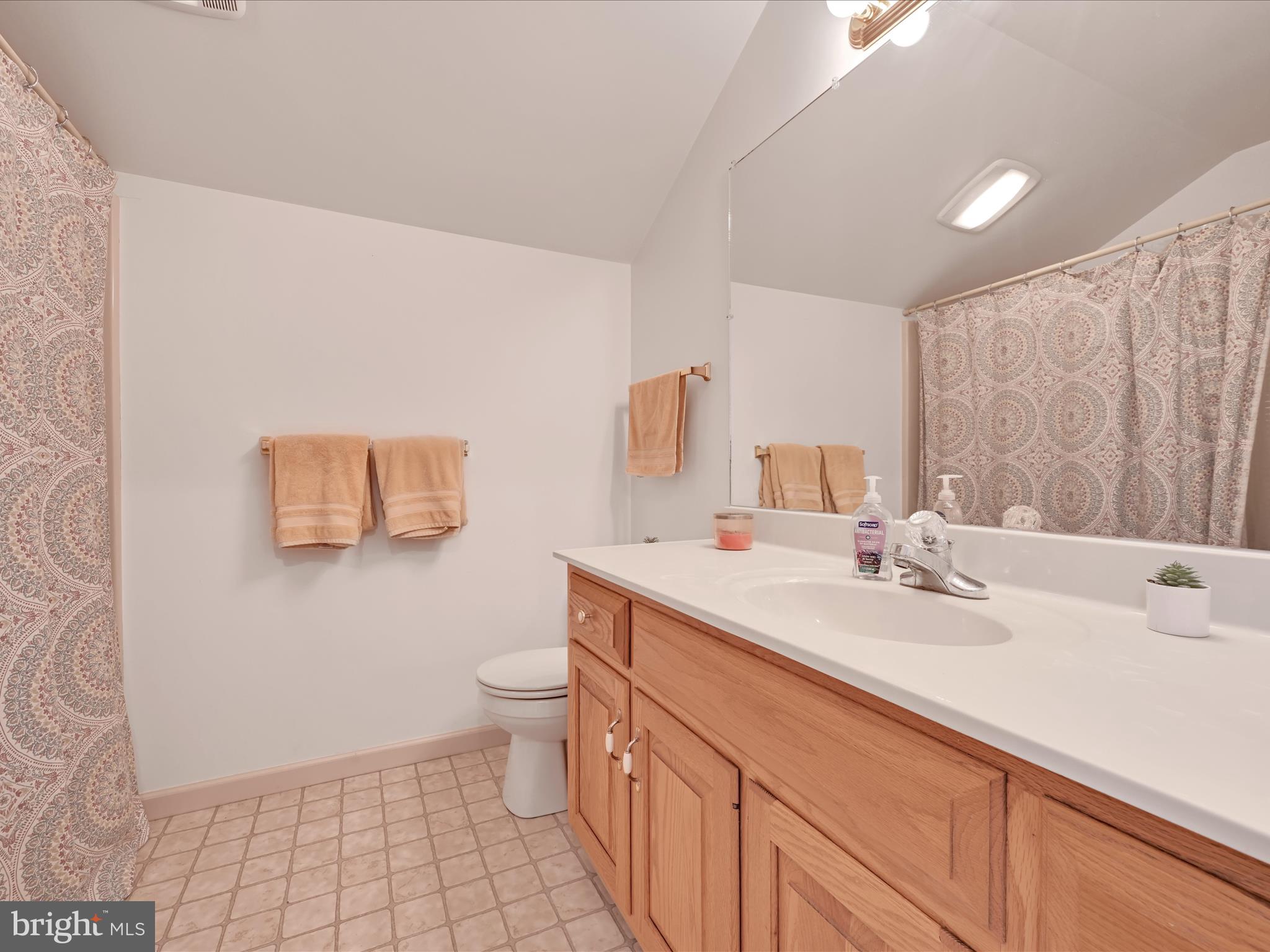 21 Silver Creek Road Lititz, PA 17543 - Photo 30 of 37 a bathroom with a sink a toilet and mirror