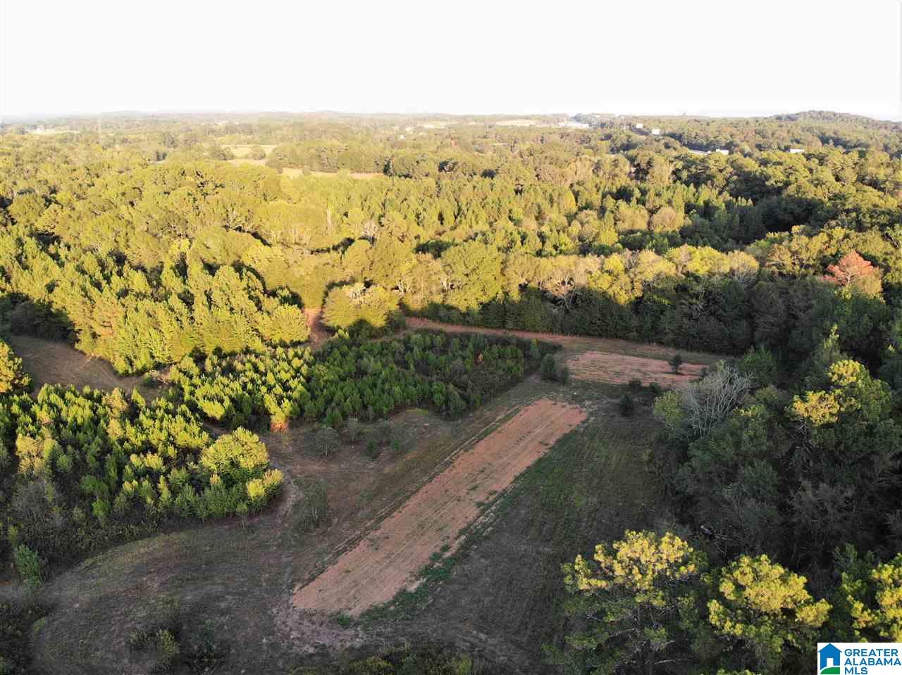 0 Blue Eye Springs Road, Unit 1 Lincoln, AL 35096 - Photo 11 of 24