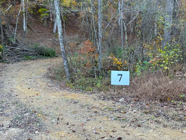 $88,500 | 7 Topaz Way, Unit 7, Parrottsville, TN 37843
