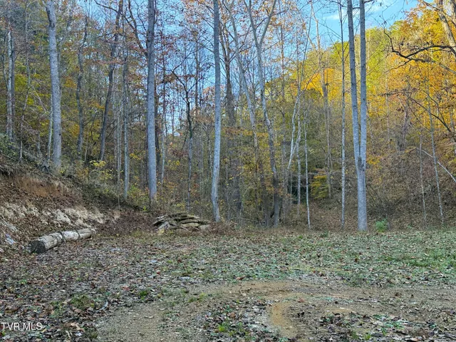 $88,500 | 7 Topaz Way, Unit 7, Parrottsville, TN 37843